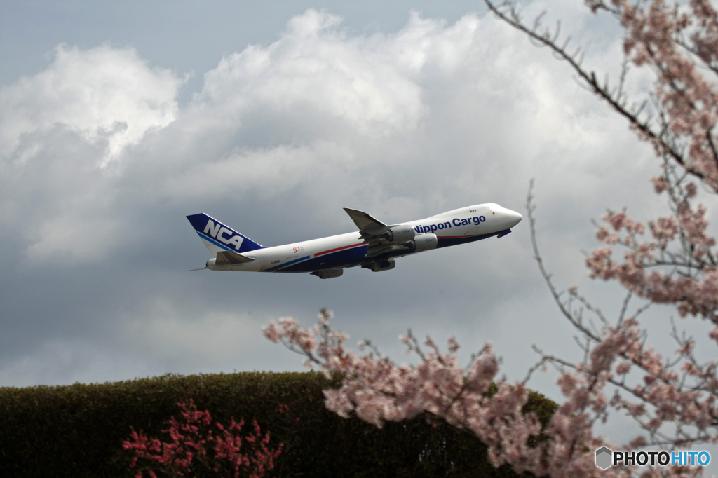 「桜・雲」  と  「日本のジャンボ機」