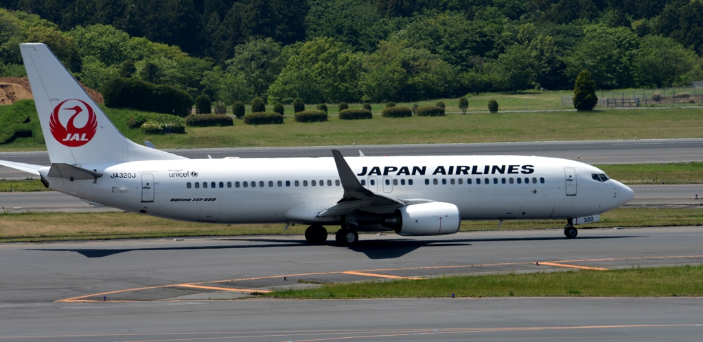 JAL 737-800