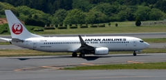 JAL 737-800