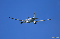 離陸 Finnair A330-202 OH-LTN
