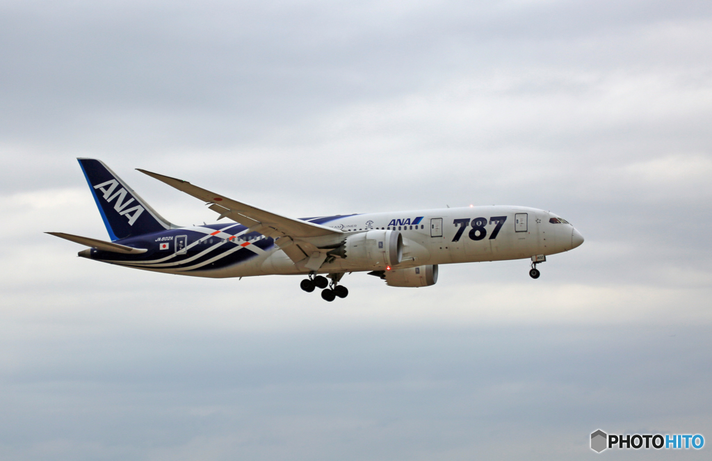 着陸 ANA 787-8 JA802A「 サバ塗装」