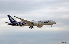 着陸 ANA 787-8 JA802A「 サバ塗装」
