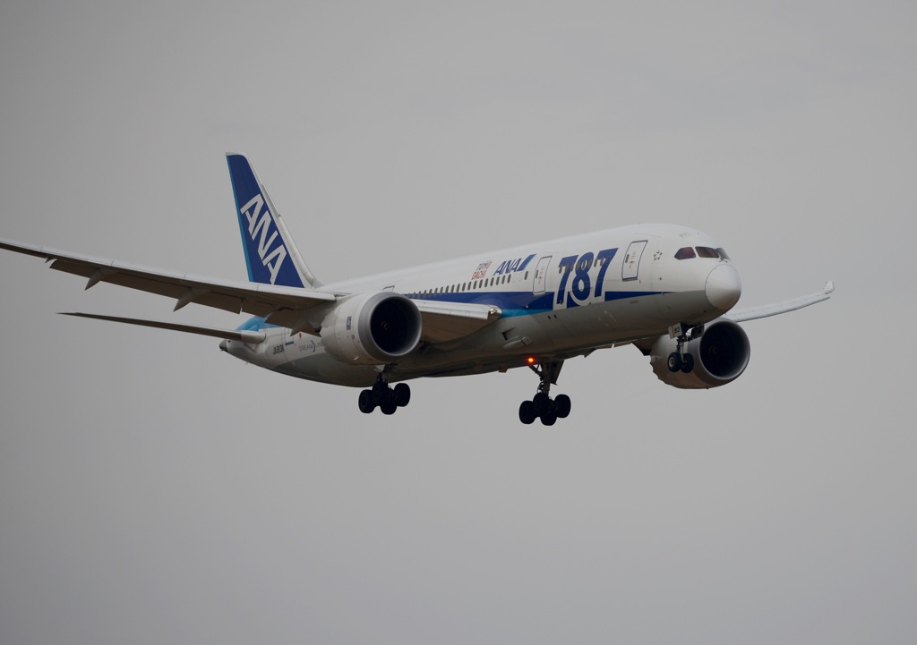 ANA 787-8 着陸