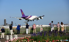 頭の上に飛んで来る「怪鳥」
