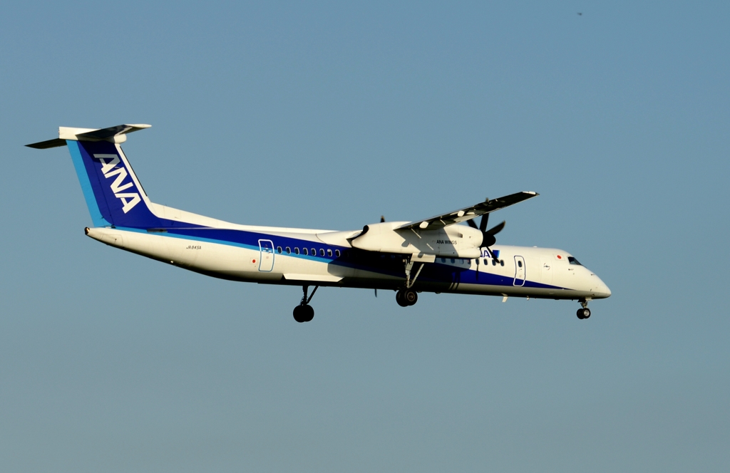 着陸（145）ANA Bombardier　DHC-8-402Q 