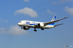 「青い空」 ANA 787-8 JA806A 到着 「青い空」 ANA 787-8 JA806A 到着
