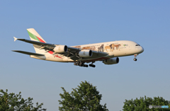✈Emirates航空 A380-861✈動物愛護A6-EOM ✈Emirates航空 A380-861✈動物愛護A6-EOM