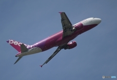 出発　peach A320-200