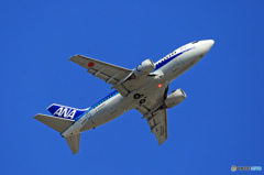 ANA 737-500 JA302K 離陸　
