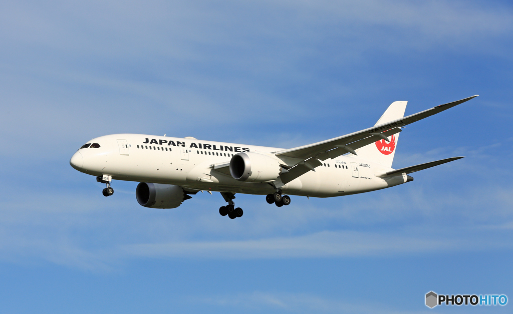 [青空]  JAL 787-8 JA839A