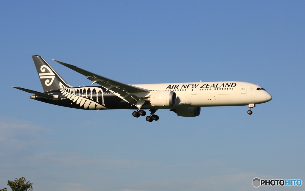 Air New Zealand 787-9 ZK-NZF