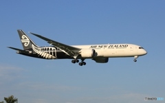 Air New Zealand 787-9 ZK-NZF
