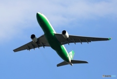 出発　EVA A330-203 B-16305