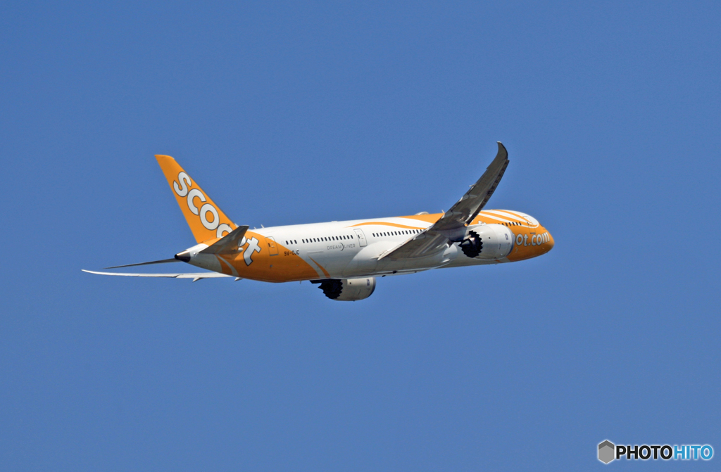 scoot 787-9 9V-OJC 離陸 