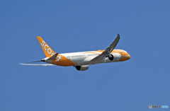 scoot 787-9 9V-OJC 離陸 