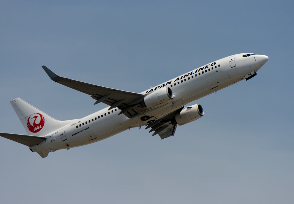 JAL 737-800 飛行 by x191300cc （ID：4478318） - 写真共有
