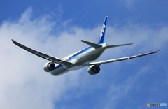 離陸 ANA 777-300 JA790A