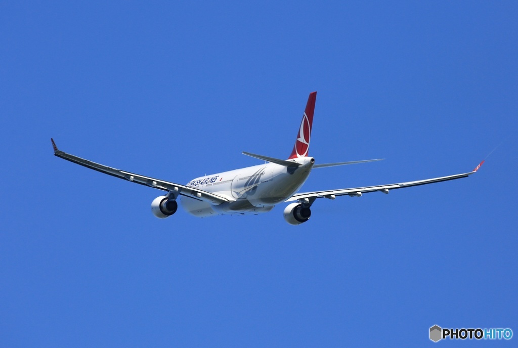 飛び立ち　TURKISH A330-303 TC-JOH