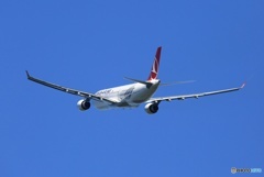 飛び立ち　TURKISH A330-303 TC-JOH