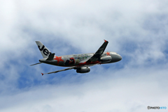 「アングリーバード」　JET！！！！