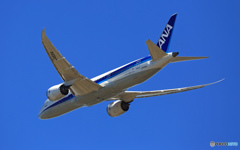 ANA 787-8 JA831A 出発 