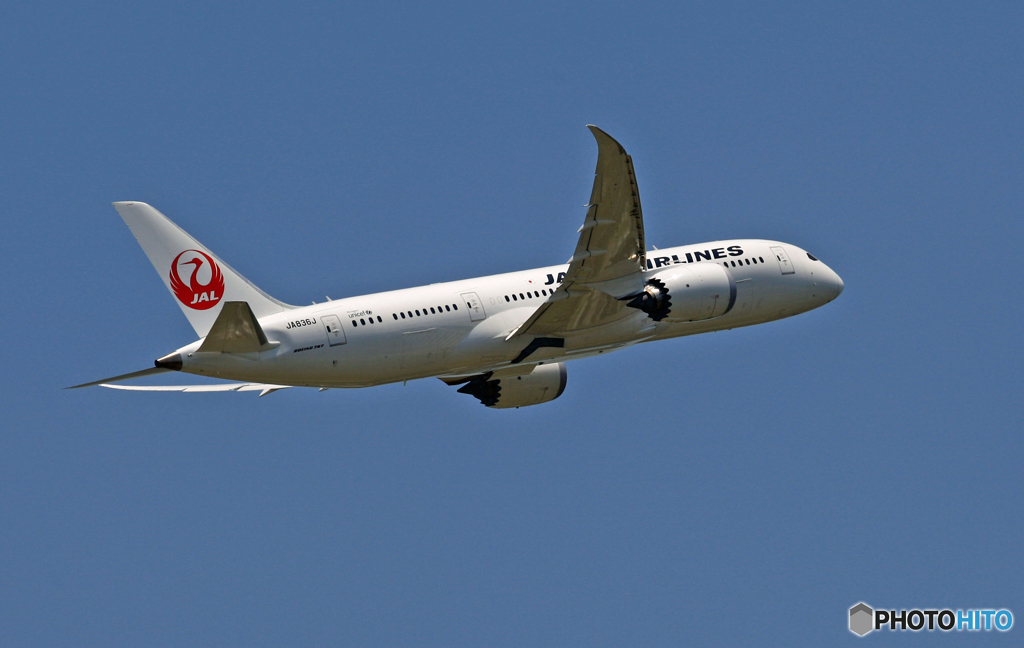 JAL 787-8 JA836J 出発 