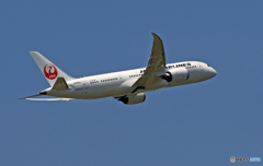 JAL 787-8 JA836J 出発 