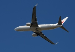 離陸（330）JAL 737-800 