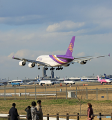 「ぶるー」THAI A380-841 HS-TUE☀