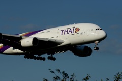 Thai A380-841