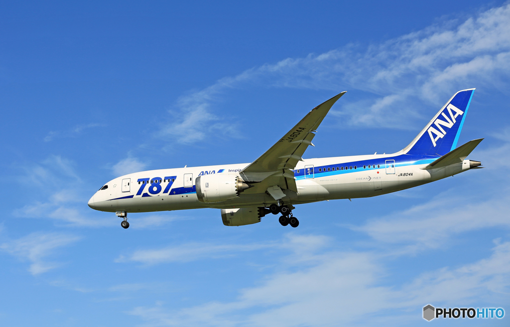 [青い空]　ANA 787-8 JA804A