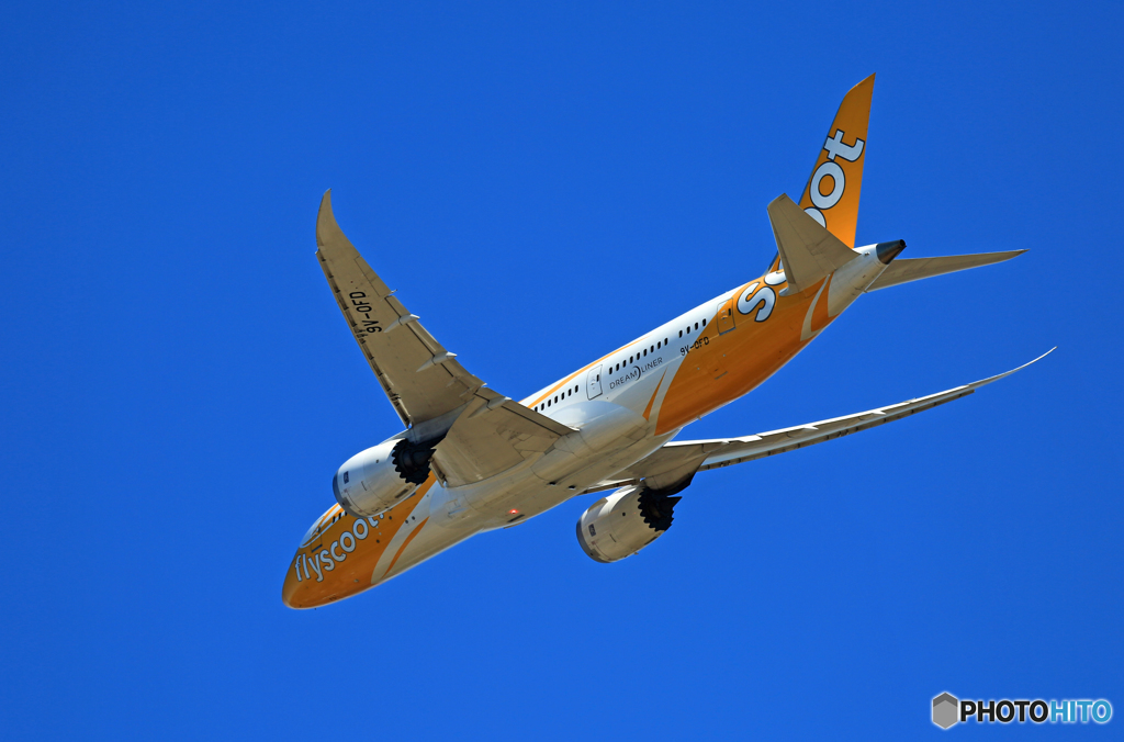 「ぶるー」 scoot 787-8 9V-OFD離陸