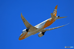 「ぶるー」 scoot 787-8 9V-OFD離陸