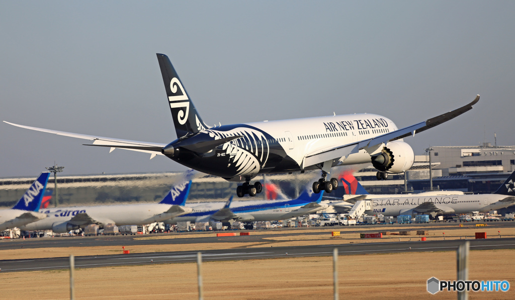 到着 Air New Zealand B787-9 ZK-NZC