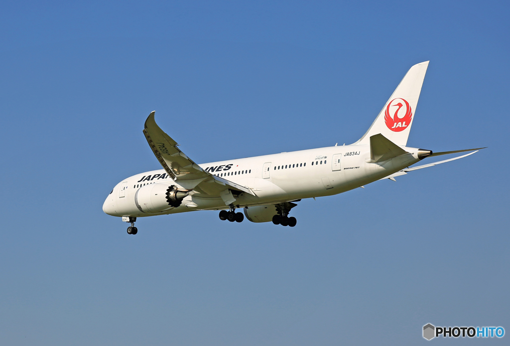 「空色」  JAL 787-8 JA834J 到着 