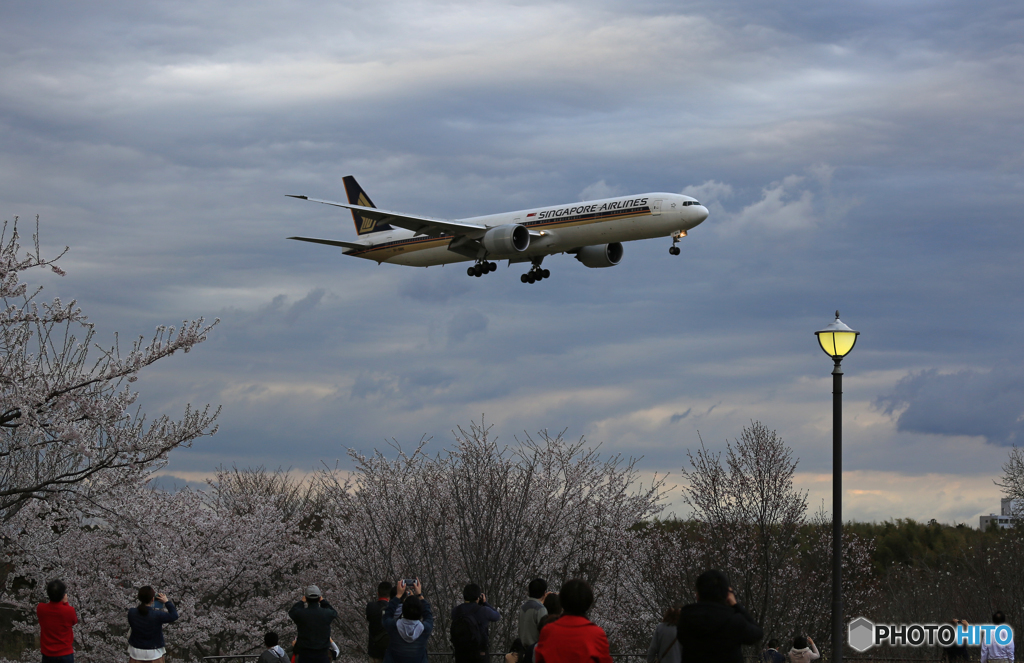 「SKY」 Singapore 777-312 9V-SWK 着陸