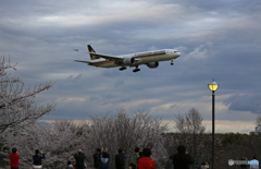 「SKY」 Singapore 777-312 9V-SWK 着陸 「SKY」 Singapore 777-312 9V-SWK 着陸