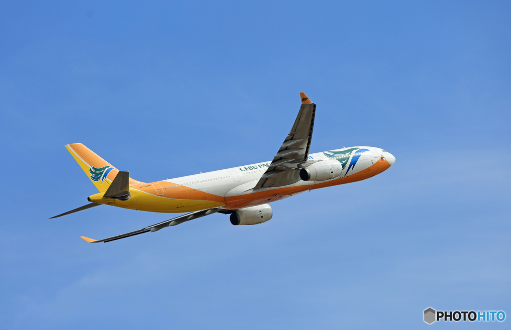 「すかい」  CEBU A330-343 RP-C3344