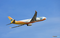 「すかい」  CEBU A330-343 RP-C3344