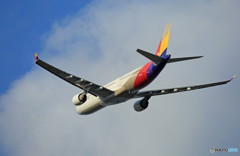 [青い空]　ASIANA A330-300 HL7736 