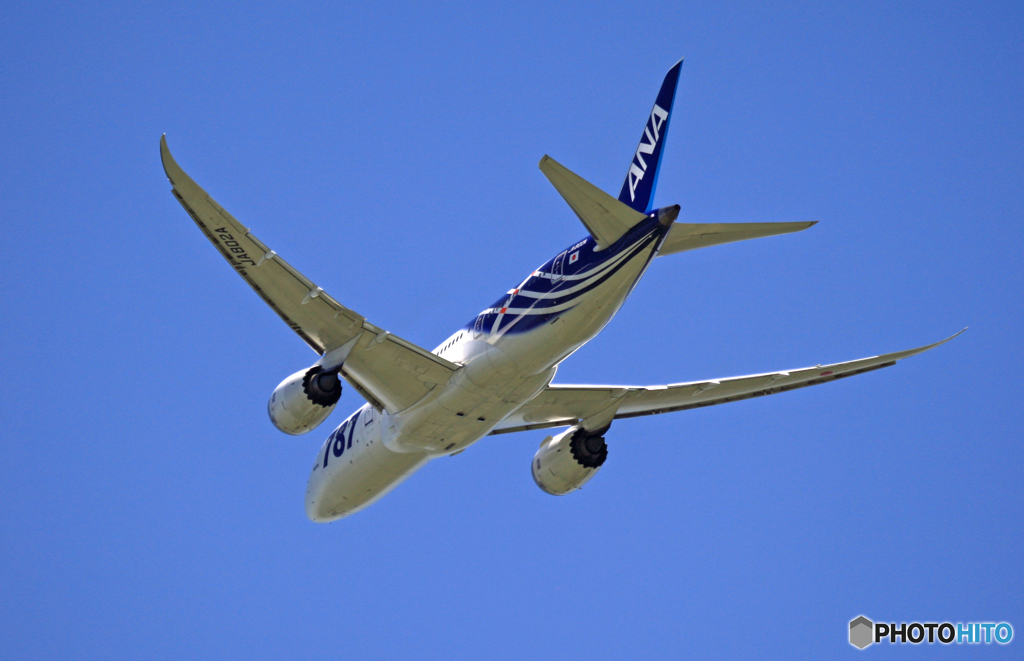 「サバ煮」飛行 ANA 787-8 JA802A