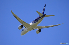 「サバ煮」飛行 ANA 787-8 JA802A