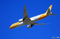 離陸 scoot 787-9 9V-OJB