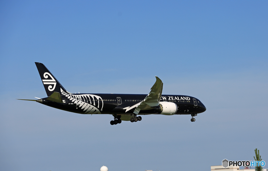 Air New Zealand「All Blacks」B787-9 ZK-NZE