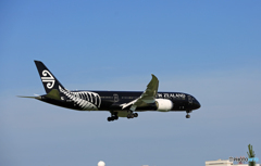 Air New Zealand「All Blacks」B787-9 ZK-NZE