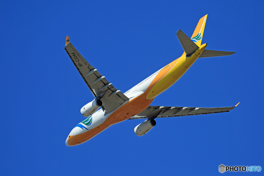 「ぶるー」 CEBU A330-343 RP-C3344 飛行 