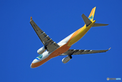 「ぶるー」 CEBU A330-343 RP-C3344 飛行 