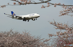あなたもジャンボ機・好きですか？