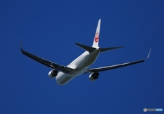 離陸　JAL 767-346 
