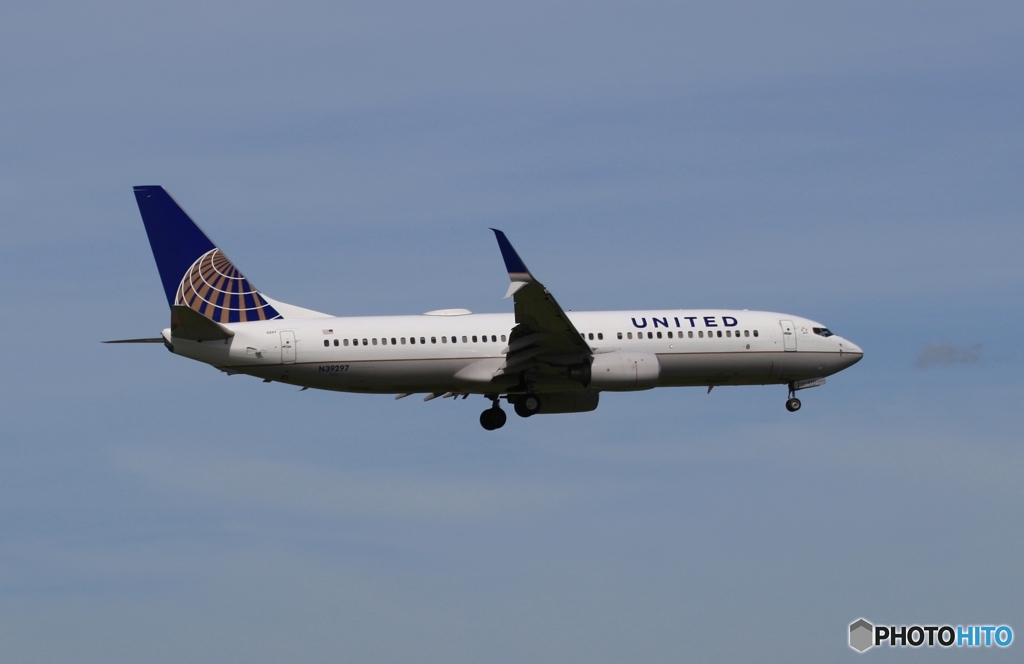 到着　UNITED 737-827 >ｼﾐﾀｰﾙｳｲﾝｸﾞﾚｯﾄ<